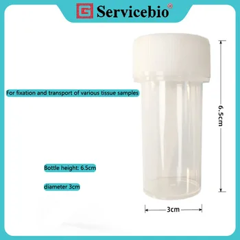 20pcsSpecimen fľaša，Kapacita 40ml，zberu vzorky pohár，laboratórne，Lekárske plastový pohár kontajner，meranie