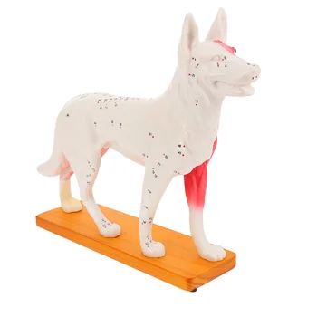 Pes Acupoint Model Nástroje Deti Psie Telo Akupunktúra Teaching Training Pvc Študent Zvierat Anatomickej